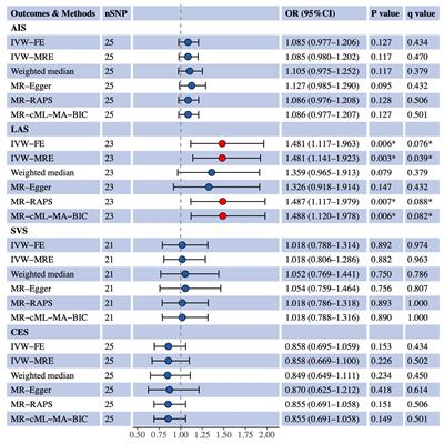 Genetically predicted small dense low-density lipoprotein cholesterol and ischemic stroke subtype: multivariable Mendelian randomization study
